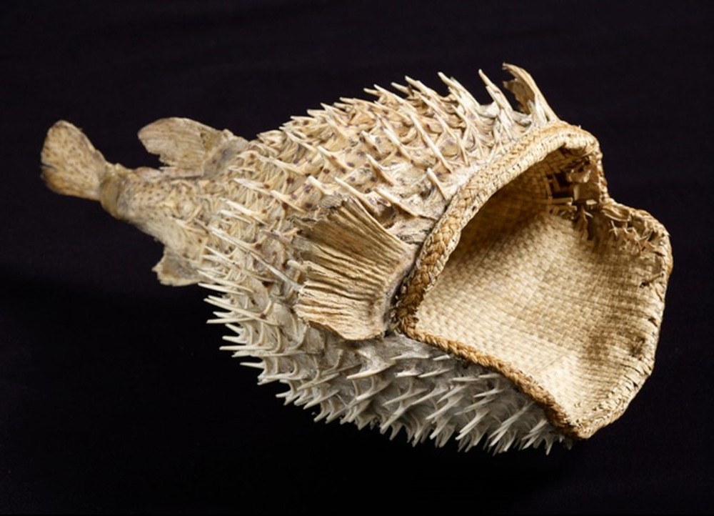 The Kiribati puffer fish skin hat - Photo 6.