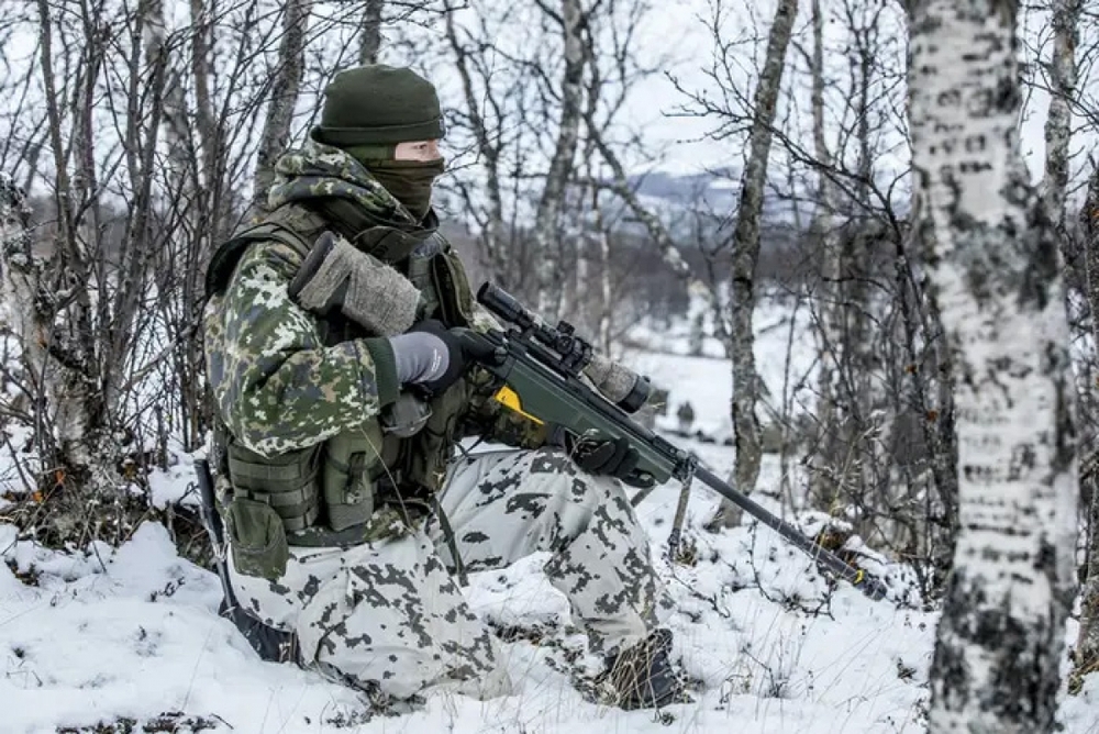 Kết nạp Thụy Điển và Phần Lan, NATO sẽ như hổ thêm cánh? - Ảnh 3.