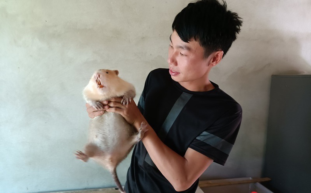 Đi chơi gặp loài vật đặc biệt, chàng trai bỏ việc để đầu tư, thu về 400 triệu mỗi năm