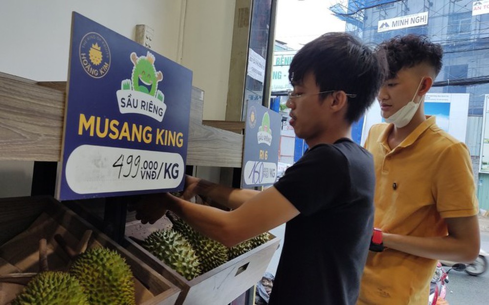  Choáng với giá sầu riêng Musang King trồng tại Việt Nam  - Ảnh 1.