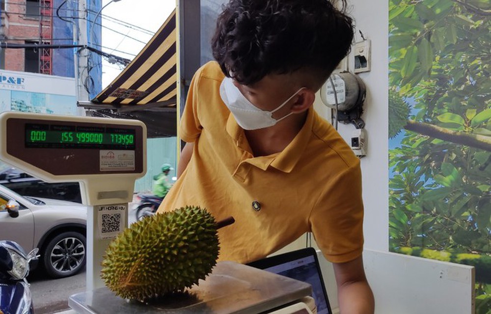  Choáng với giá sầu riêng Musang King trồng tại Việt Nam  - Ảnh 4.