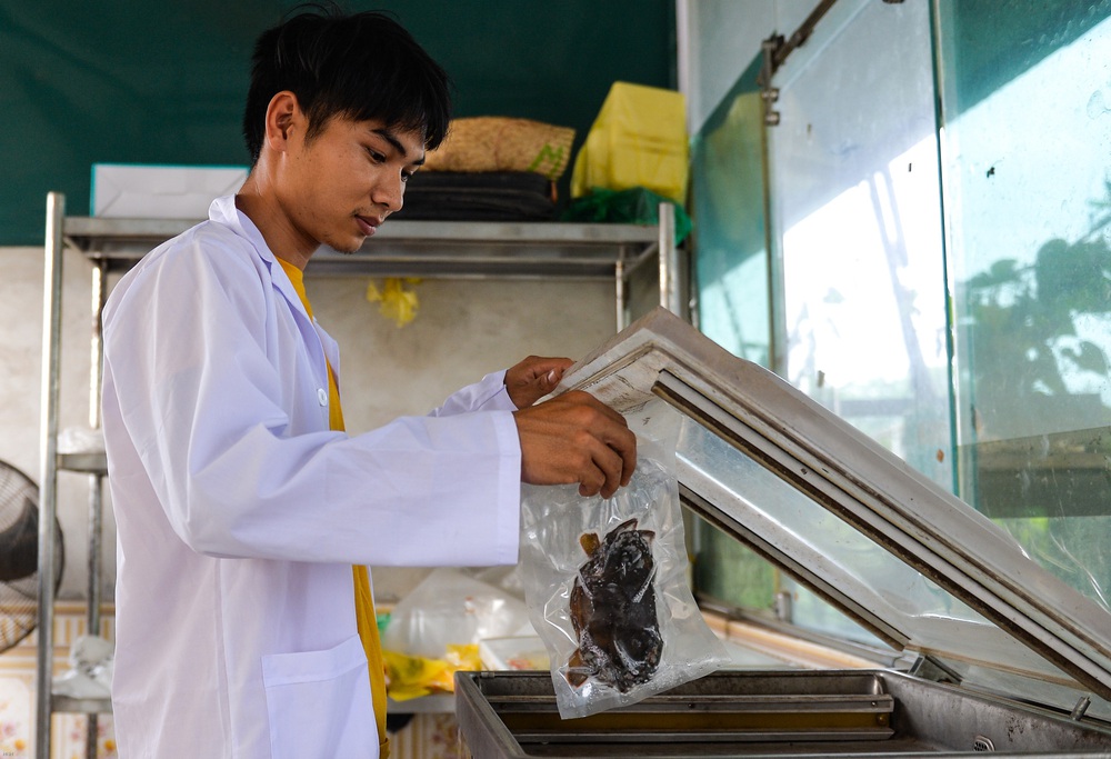 Chở nước biển từ Vịnh Hạ Long về giữa lòng thủ đô Hà Nội để nuôi cua cốm đặc sản - Ảnh 8.