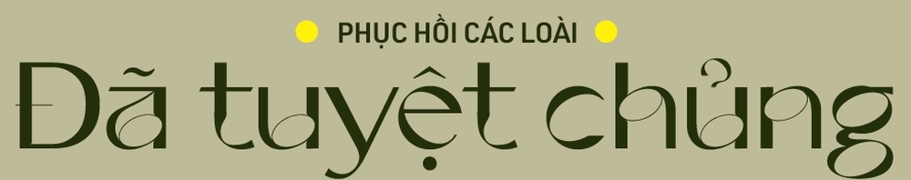 Từ cừu Dolly đến voi ma mút: Nhân bản đã thay đổi thế giới của chúng ta như thế nào? - Ảnh 7.