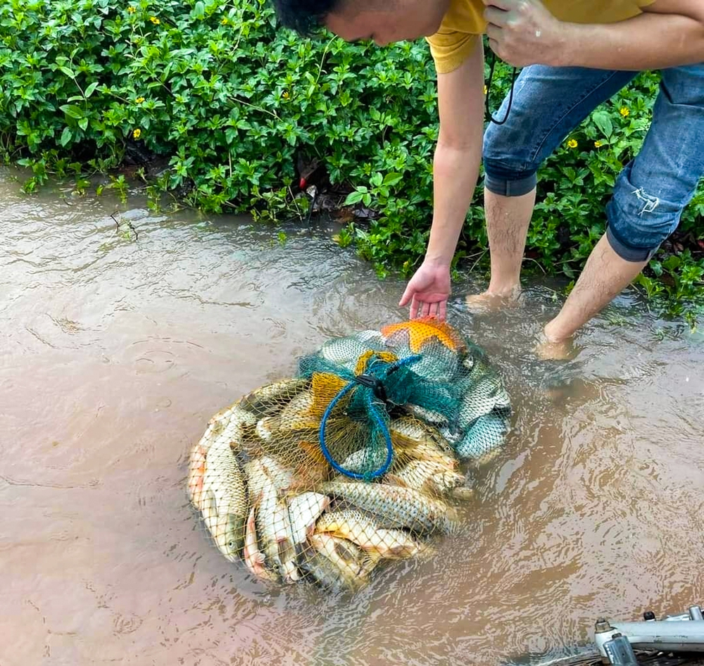 Đường biến thành sông, người dân mang vó, vợt ra bắt cá  - Ảnh 6.