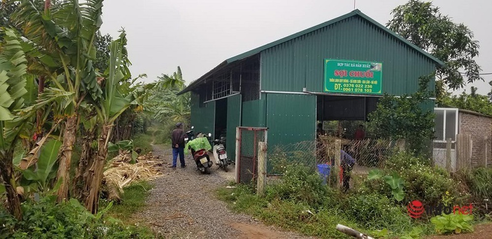 Chàng trai biến loại phụ phẩm bị vứt bỏ, cho bò, lợn ăn thành mặt hàng tỷ đô - Ảnh 2.