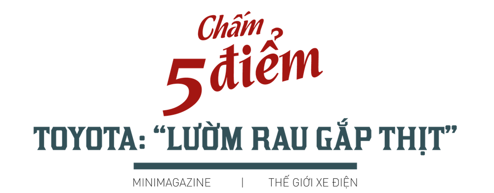 Chấm điểm xe điện Việt và thế giới: Số 1 Nhật ‘lườm rau gắp thịt’, số 1 Trung Quốc ra sao? - Ảnh 3.