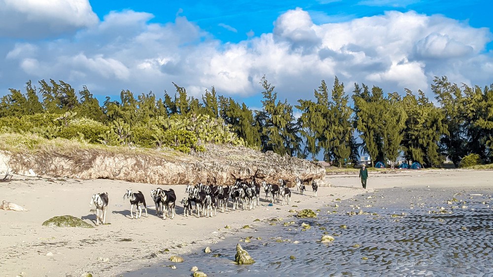 Du lịch Ninh Thuận: Mùa hè này, hãy đến thăm thú một vùng quê nhỏ còn hoang sơ nhưng ngàn cảnh đẹp đầy bình yên - Ảnh 16.