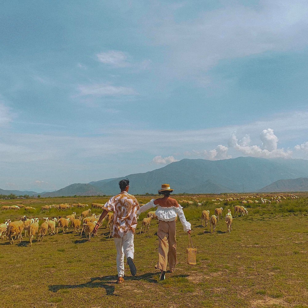 Du lịch Ninh Thuận: Mùa hè này, hãy đến thăm thú một vùng quê nhỏ còn hoang sơ nhưng ngàn cảnh đẹp đầy bình yên - Ảnh 19.