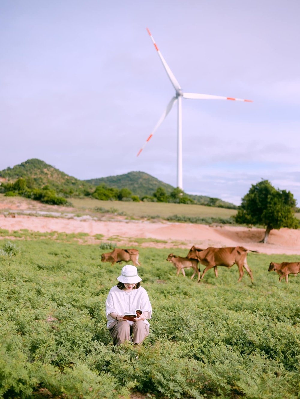 Du lịch Ninh Thuận: Mùa hè này, hãy đến thăm thú một vùng quê nhỏ còn hoang sơ nhưng ngàn cảnh đẹp đầy bình yên - Ảnh 21.