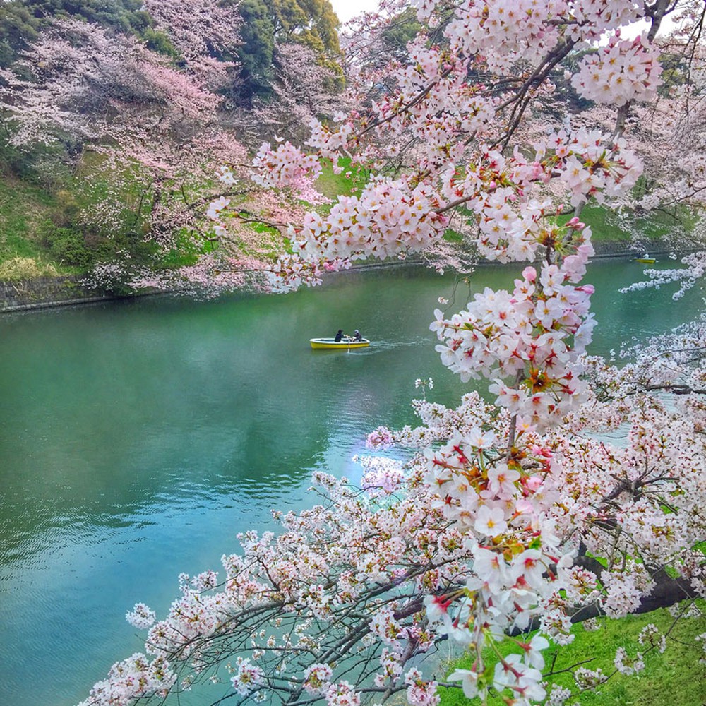 10 điều khiến khách du lịch đi Nhật Bản một lần là nhớ mãi: Tắm onsen chỉ xếp thứ 5 - Ảnh 10.