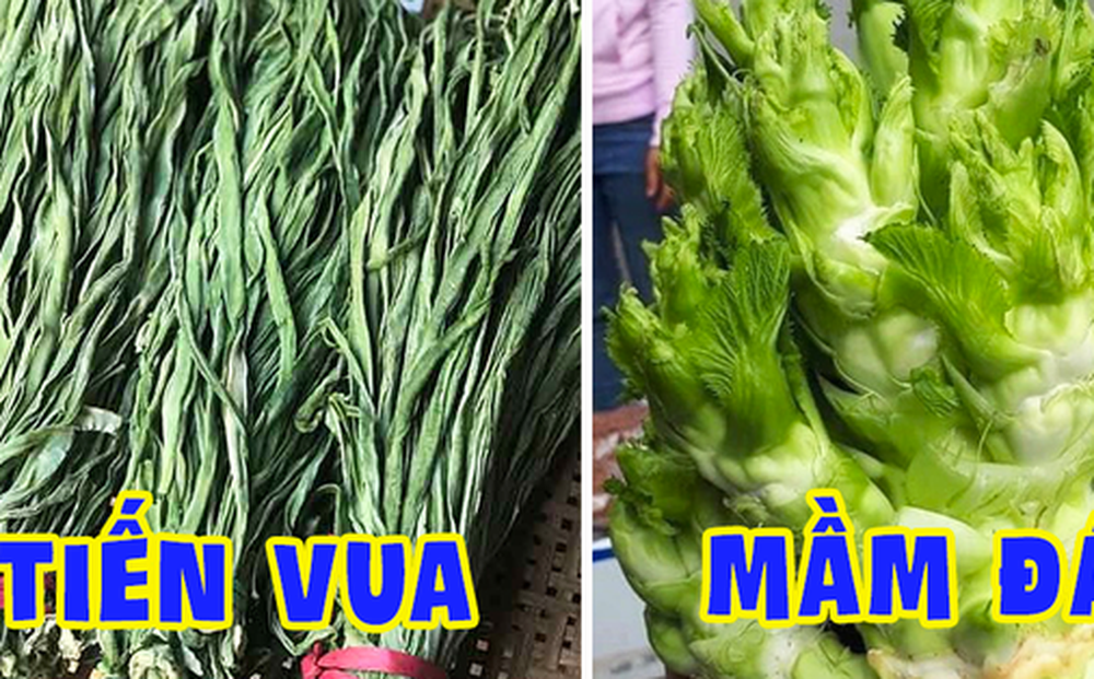 Việt Nam có 4 loại rau giá đắt hơn cả thịt cá, muốn ăn cũng chưa chắc đã có để mua