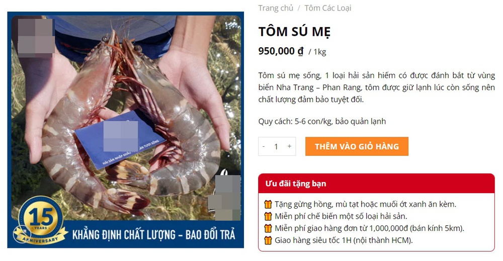 Loại tôm giá 950k/kg, đắt hơn cả tôm hùm được nhiều người săn lùng về thưởng thức - Ảnh 1.