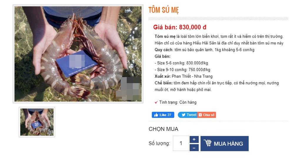 Loại tôm giá 950k/kg, đắt hơn cả tôm hùm được nhiều người săn lùng về thưởng thức - Ảnh 3.