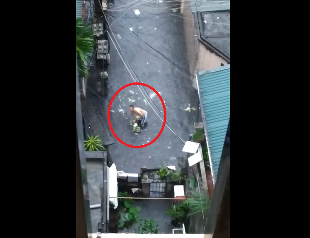 Bi hài clip người đàn ông ‘hôi của’ 2 cây bắp cải đi lạc dưới mưa ngập ở Hà Nội - Ảnh 3.