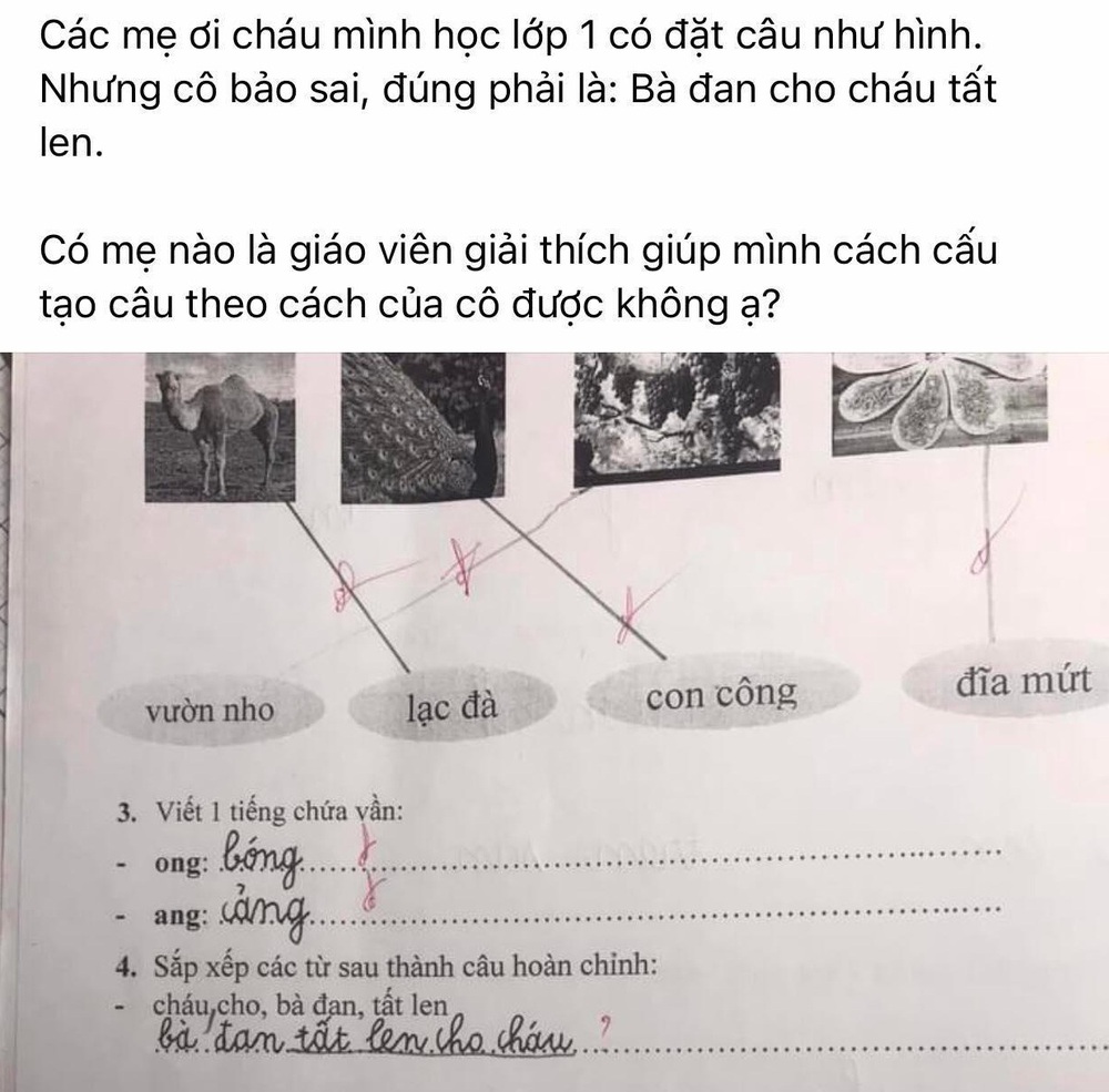 Thought the first grade Vietnamese homework was simple, the teacher's answer made parents confused - Photo 1.