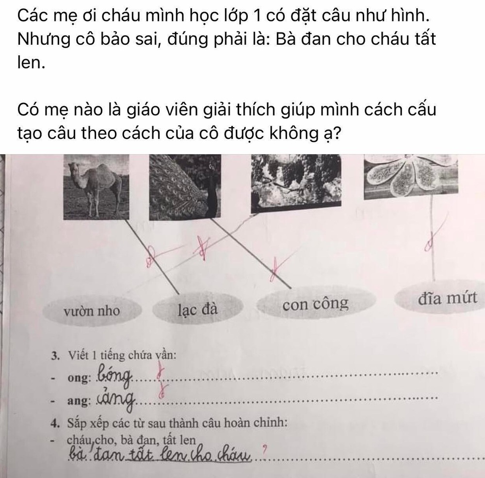 Tưởng bài tập tiếng Việt lớp 1 đơn giản, đáp án của giáo viên khiến phụ huynh hoang mang - Ảnh 1.