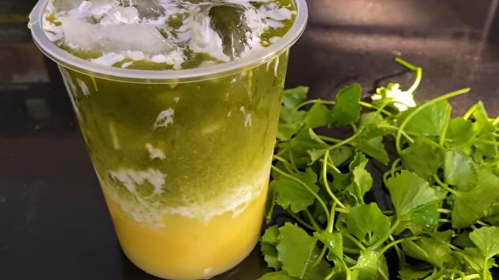 Rau má - vị thuốc mát, giải nhiệt ngày nóng - Ảnh 1.