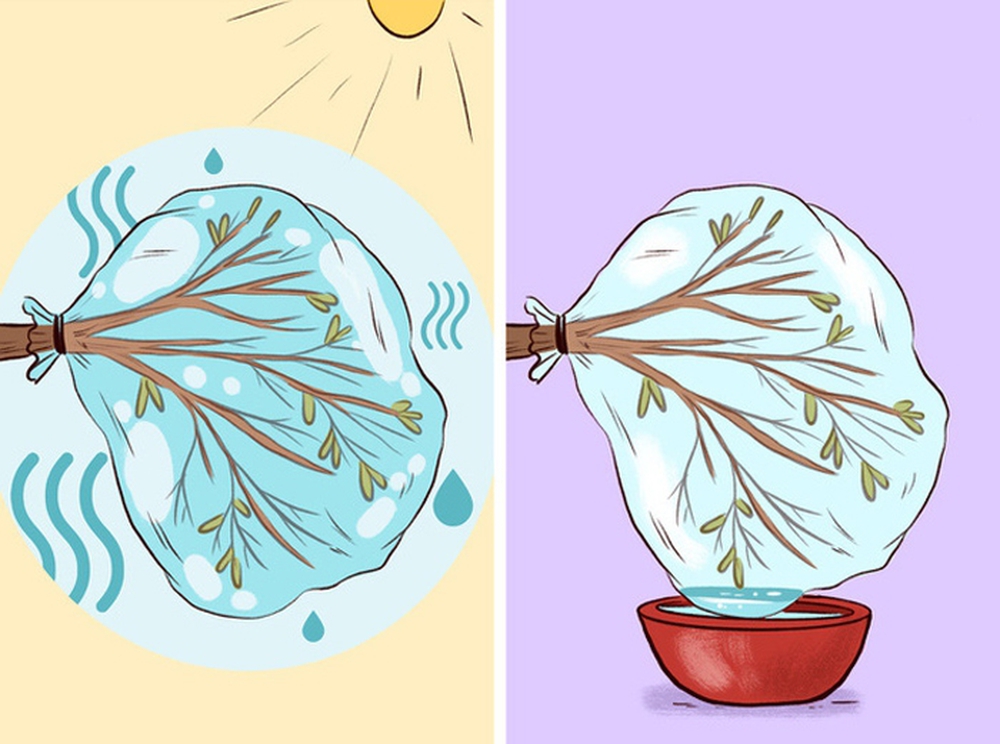 8 kỹ năng sinh tồn c&oacute; thể cứu sống bạn khi bị mắc kẹt nơi hẻo l&aacute;nh - Ảnh 1.