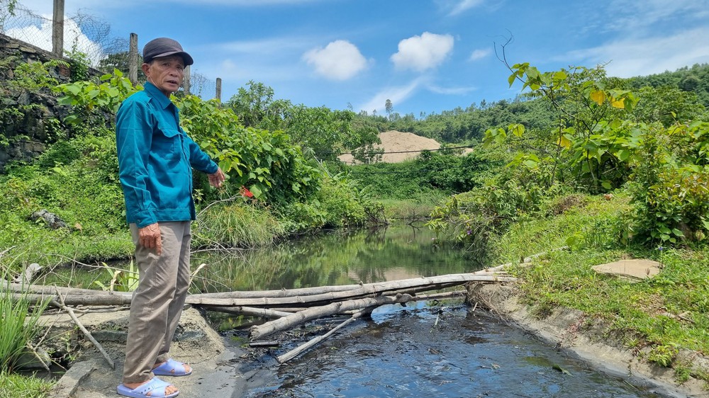 Gặt phải lúa đen, nông dân Đà Nẵng khóc ròng bên cạnh bãi than - Ảnh 5.