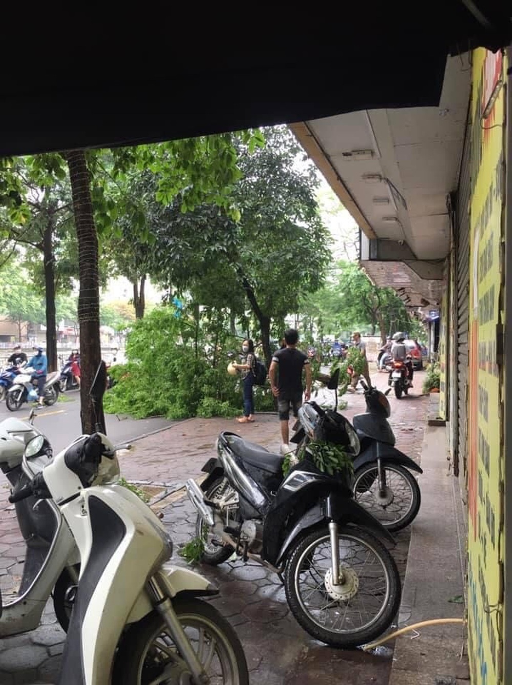 Hú hồn cây xanh trên đường Hà Nội bỗng nhiên bật gốc đổ đè vào 3 người đi xe máy - Ảnh 2.