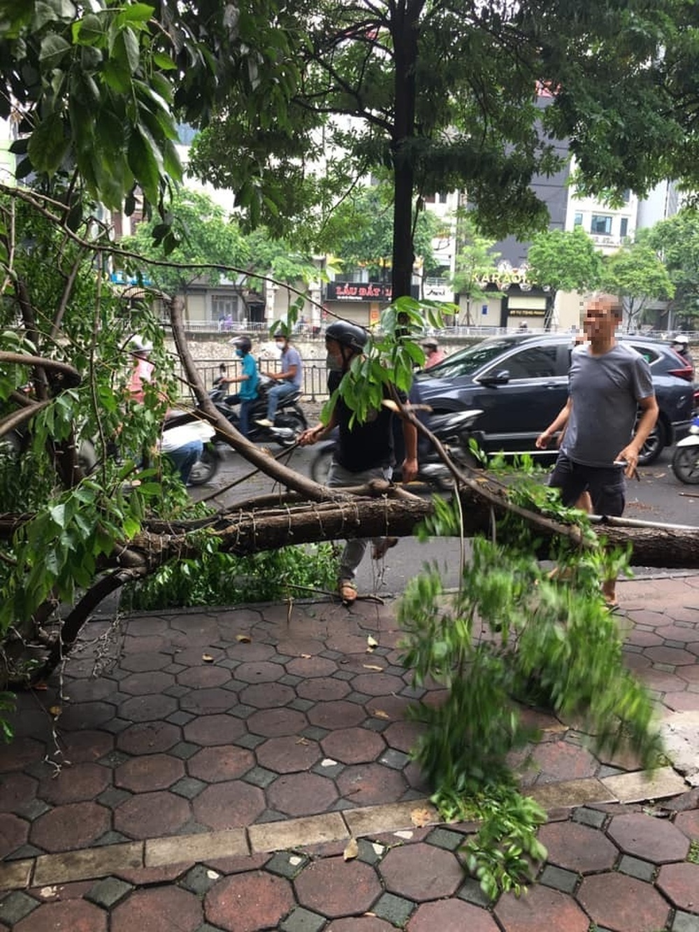 Hú hồn cây xanh trên đường Hà Nội bỗng nhiên bật gốc đổ đè vào 3 người đi xe máy - Ảnh 3.