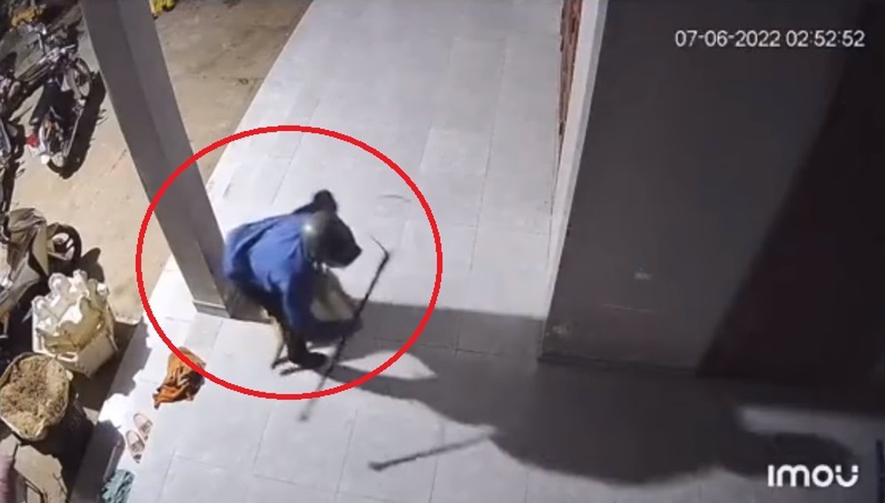 A close-up of dog thieves in 10 seconds 'without a superfluous move' makes netizens angry - Photo 3.