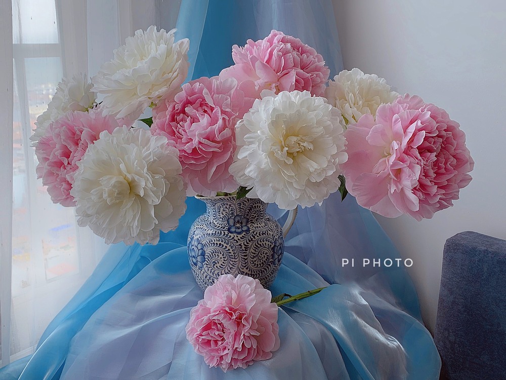 Thú chơi cắm hoa peony trong nhà được nhiều chị em theo đuổi, mặc kệ giá lên đến vài trăm nghìn/bông, nghe lí do ai cũng bất ngờ  - Ảnh 2.