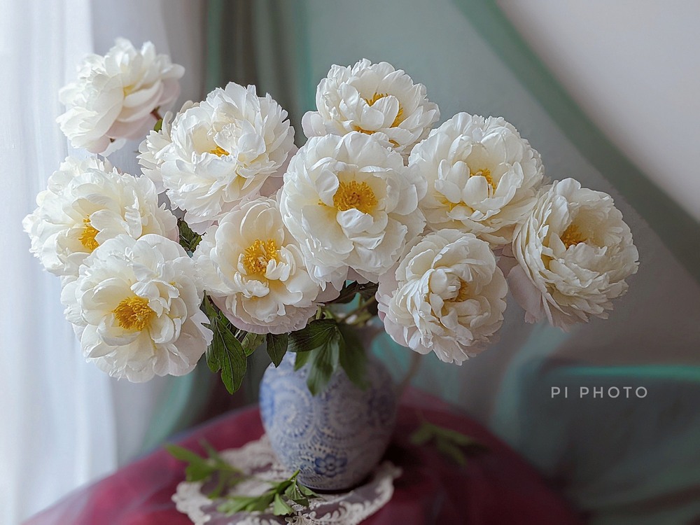 Thú chơi cắm hoa peony trong nhà được nhiều chị em theo đuổi, mặc kệ giá lên đến vài trăm nghìn/bông, nghe lí do ai cũng bất ngờ  - Ảnh 3.