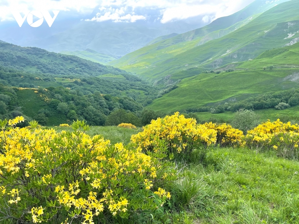 Khám phá thiên nhiên tuyệt đẹp vùng Bắc Kavkaz, Nga - Ảnh 4.