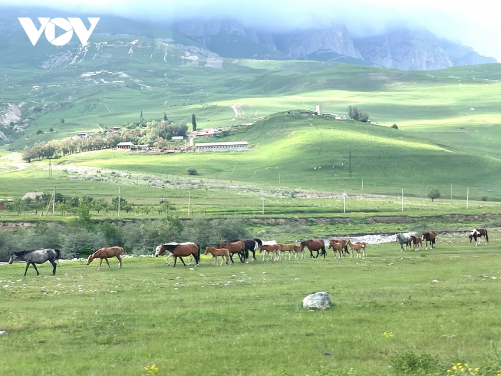 Khám phá thiên nhiên tuyệt đẹp vùng Bắc Kavkaz, Nga - Ảnh 8.