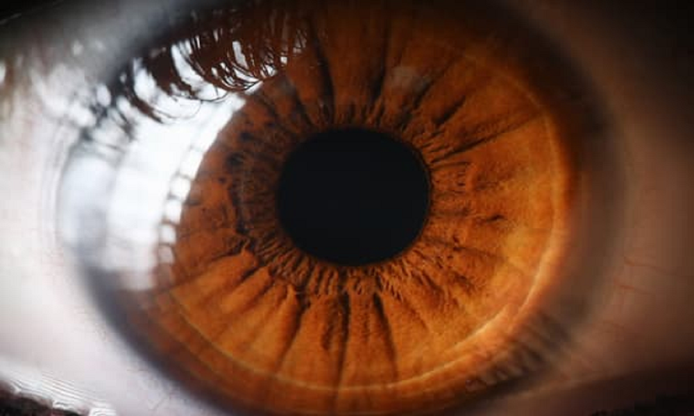 Nghiên cứu: Khám mắt có thể dự đoán nguy cơ đau tim - Ảnh 1.