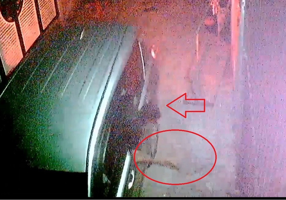 Clip: Cẩu tặc lái ô tô 7 chỗ trộm chó trong đêm không một giây thừa - Ảnh 3.