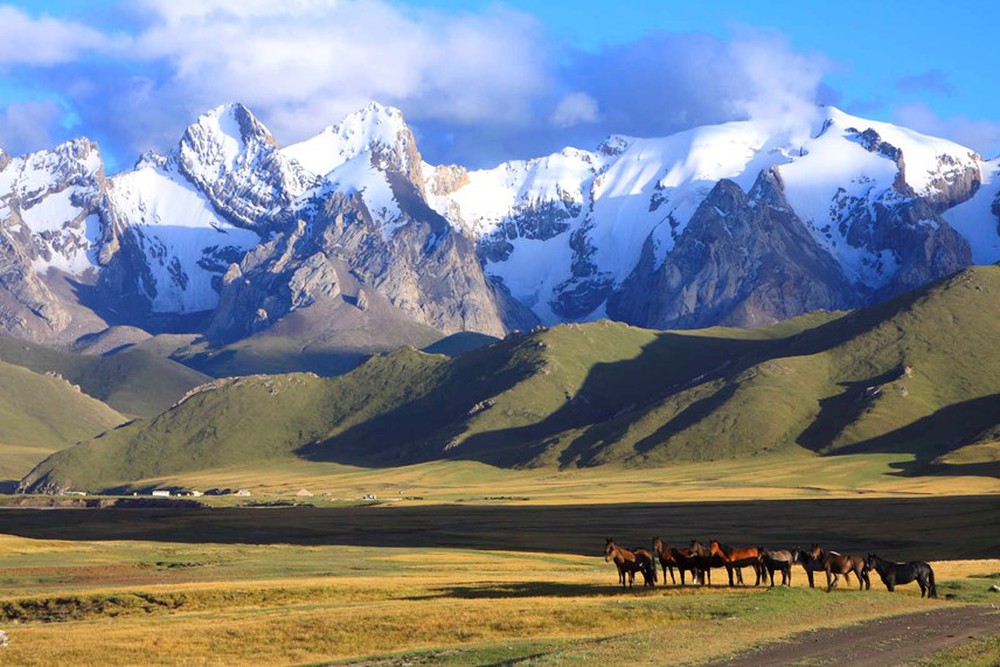 Cái chết Đen: Phát hiện nguồn gốc đại dịch từ vi khuẩn trong các ngôi mộ ở Kyrgyzstan - Ảnh 5.