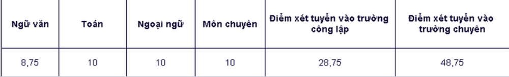 Lộ diện thủ khoa lớp 10 chuyên ở TP HCM - Ảnh 2.