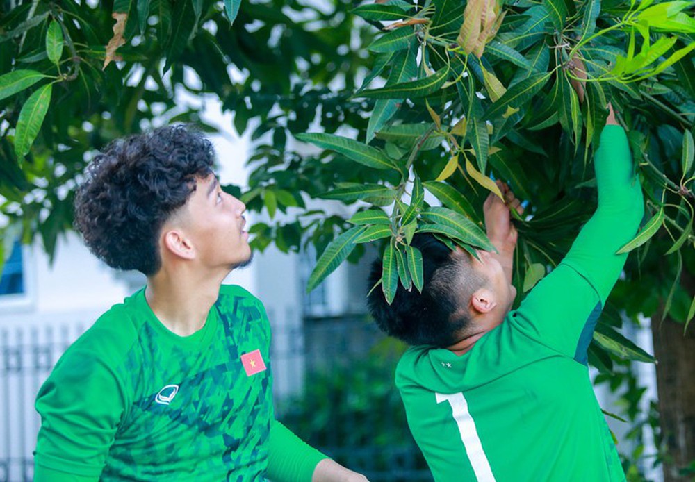 Cầu thủ U19 Việt Nam thi nhau hái xoài, giúp đàn chị đội tuyển nữ tìm dép - Ảnh 6.