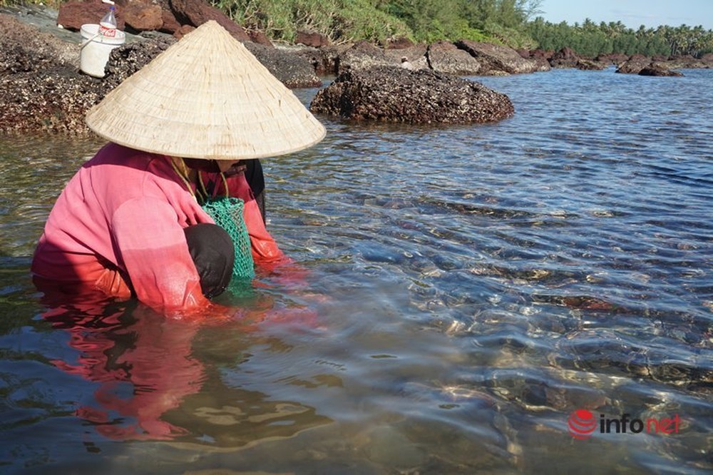 Phụ nữ xã đảo vất vả mưu sinh mùa nắng, chiều chiều dầm mình hàng giờ dưới nước mò ngọc biển - Ảnh 2.