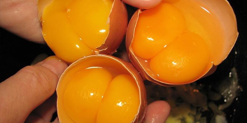 Ăn trứng gà thế nào để bảo đảm sức khỏe? - Ảnh 2.