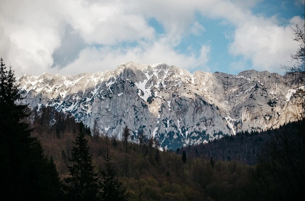 [ẢNH] Sự trở lại của con thú lớn: Tìm kiếm bò rừng hoang dã Romania - Ảnh 13.