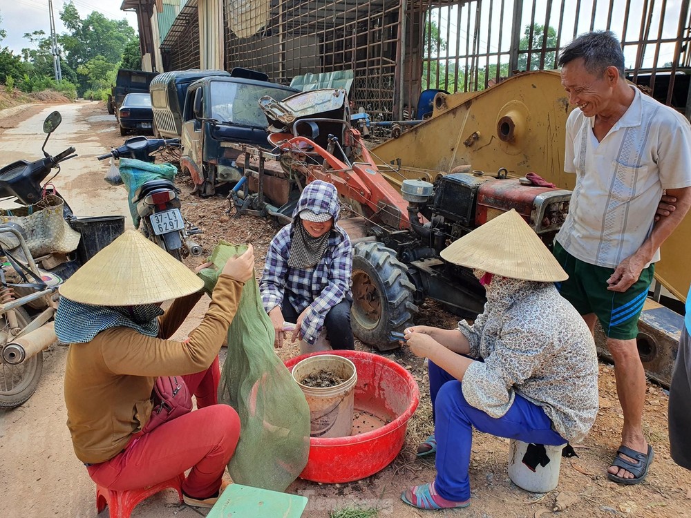 Bắt cua đồng mùa nắng nóng kiếm tiền triệu mỗi ngày - Ảnh 9.