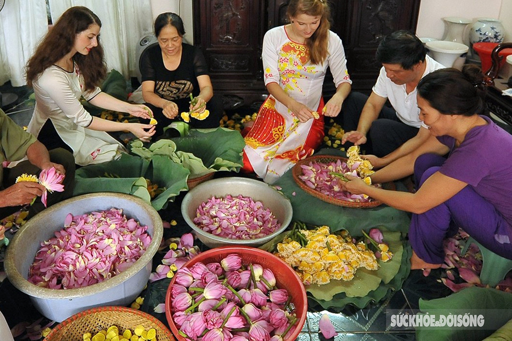 Kỳ công cách ướp trà gói trọn tinh hoa nghìn bông sen Hồ Tây - Ảnh 8.