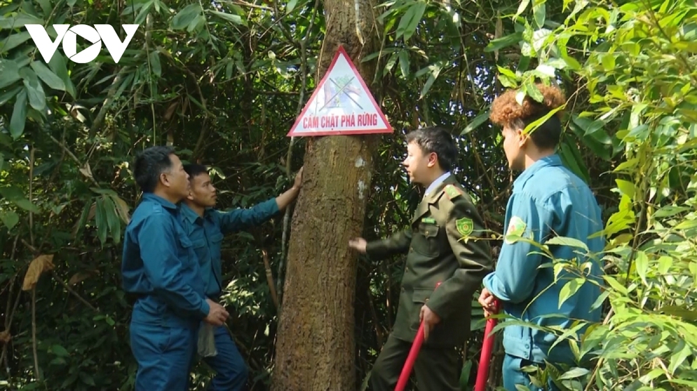 Tiếp thêm động lực để người dân giữ gìn và phát triển rừng - Ảnh 2.