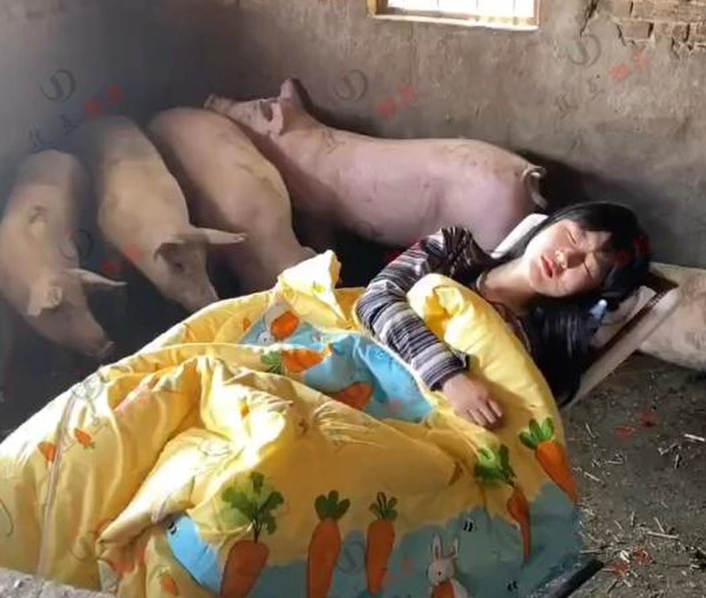 Cô gái trẻ có sở thích ngủ trong chuồng lợn khiến cộng đồng mạng tranh cãi - Ảnh 2.