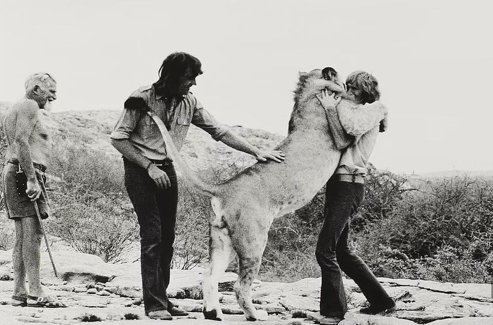 Hình ảnh hiếm về cuộc sống sang chảnh của sư tử nuôi trong căn hộ cao cấp năm 1960 - Ảnh 6.