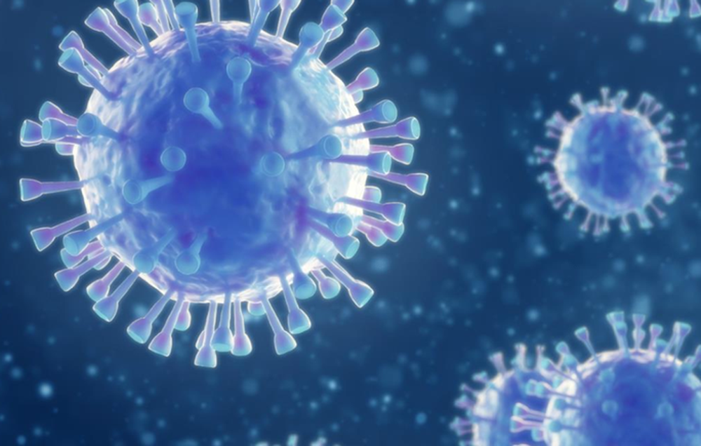Phát hiện virus corona mới ở Thụy Điển, không biết có gây nguy hiểm cho người hay không  - Ảnh 1.