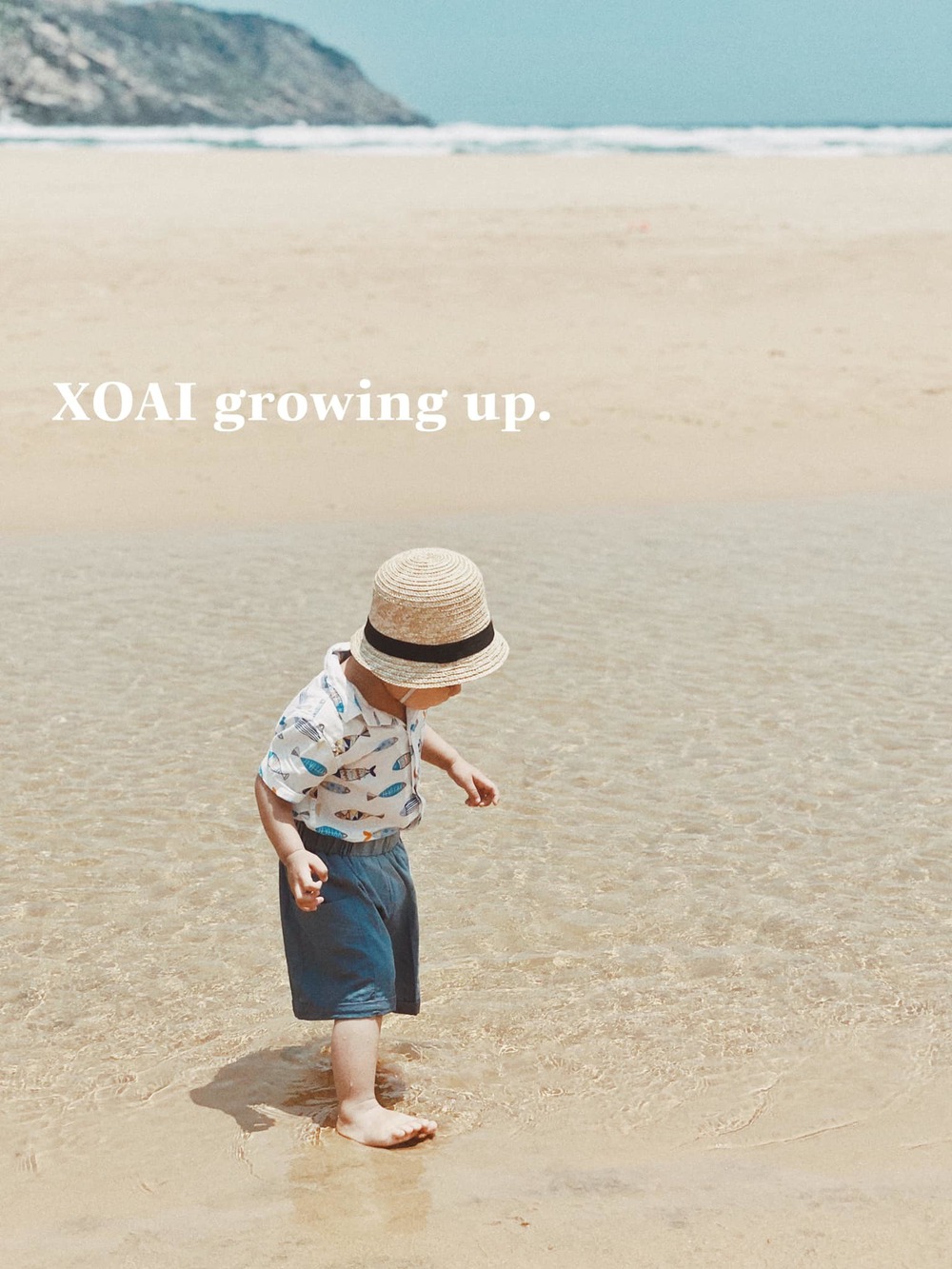 Sharing a handbook for young children to travel, the young mother received a 