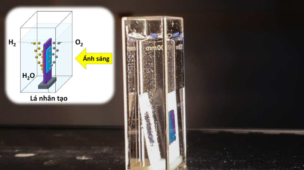 New artificial leaves - a new source of fuel - Photo 1. New artificial leaves - a new source of fuel - Photo 1.