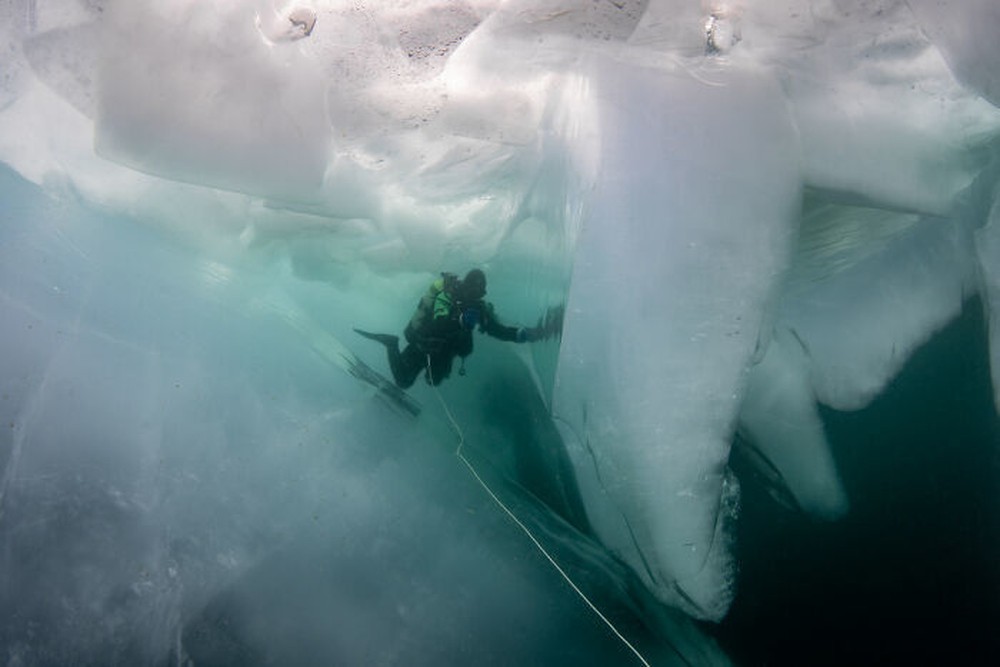 Loạt ảnh hải cẩu cực hiếm tại hồ sâu nhất thế giới - Ảnh 4.