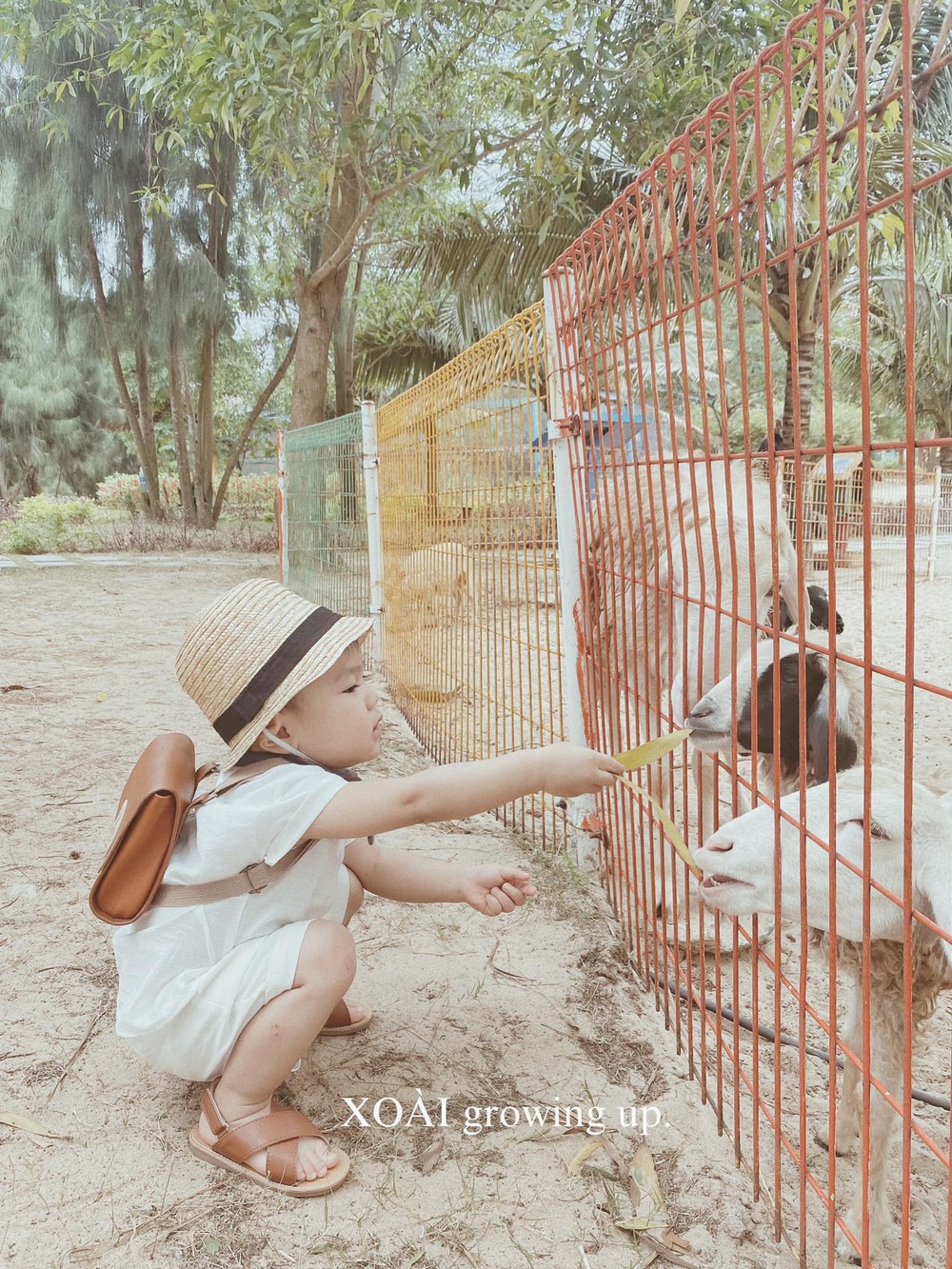 Sharing a handbook for young children to travel, the young mother received a 