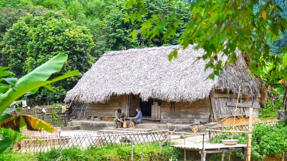 Bỏ việc lương 10 triệu, chàng trai về quê trồng rau, nuôi gà: Bình yên nhưng không dễ dàng - Ảnh 5.