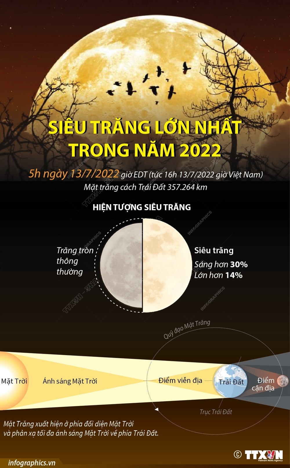 Siêu trăng lớn nhất trong năm 2022 - Ảnh 1.